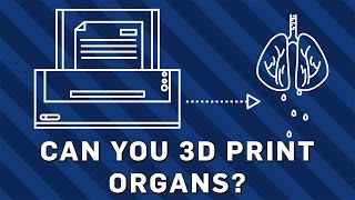 Can You 3D Print Organs? | Brit Lab Can You 3D Print Organs? | Brit Lab