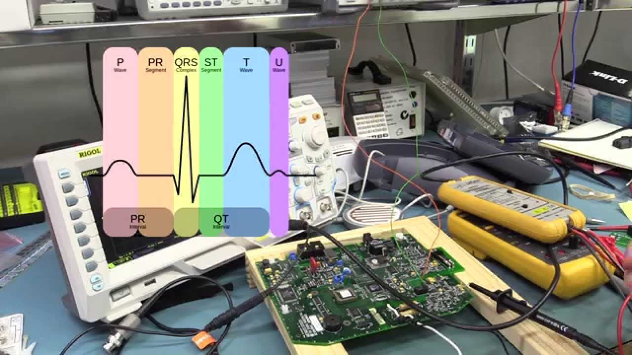 EEVblog #660 - Electrocardiogram (ECG) Experiments - YouTube