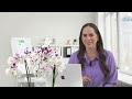 Welcome to Miami Lending Advisors official YouTube channel!