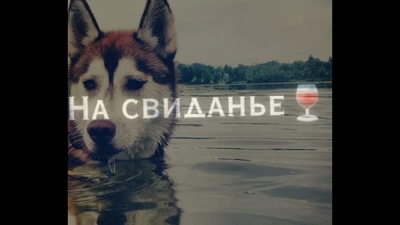 черные ресницы черные глаза сгубили пацана