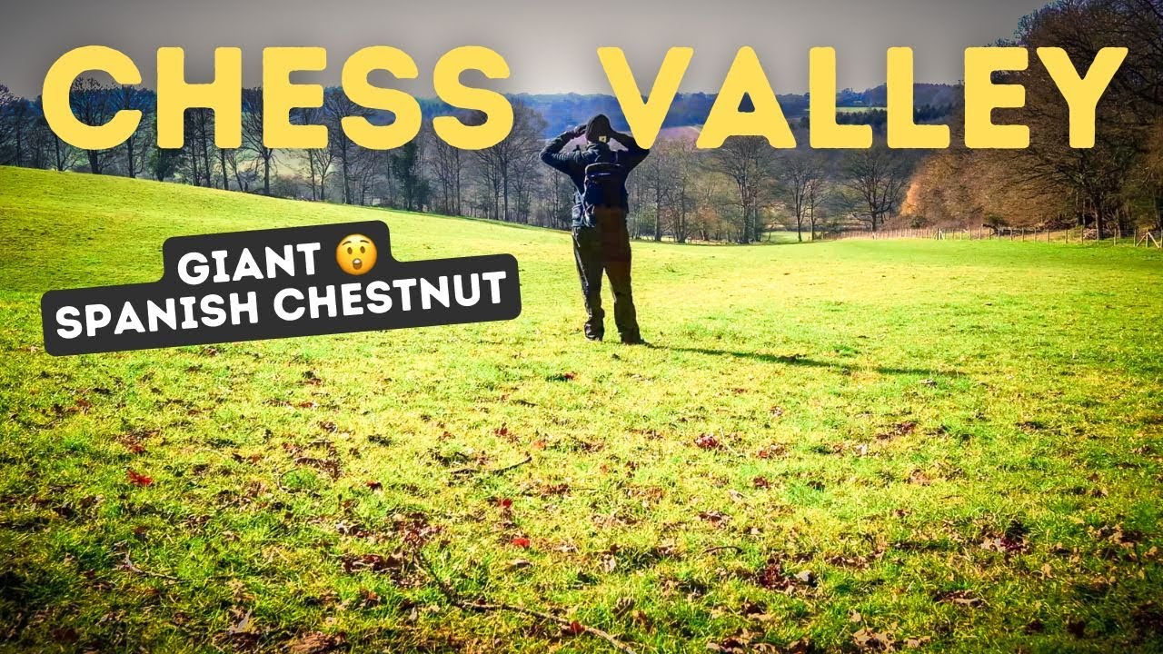 Chess Valley Walk in the Chiltern Hills