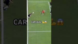 CARVAJAL mūro režimu ⛔️