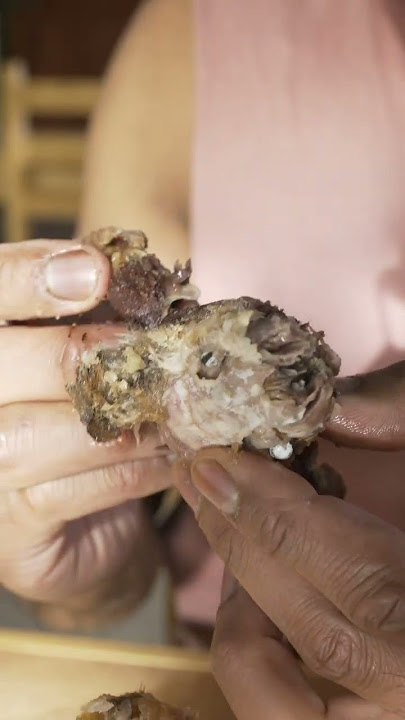 Princezee eats live guinea pig in Peru #shorts