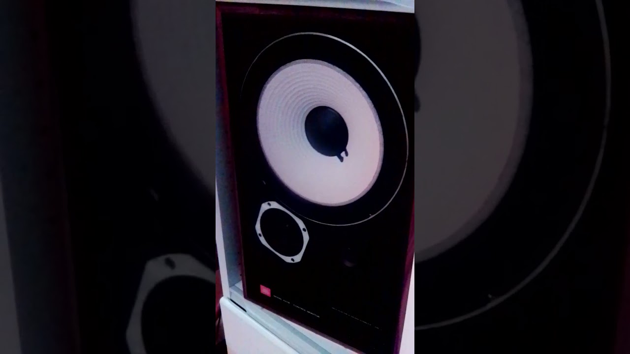 Sansui va in protezione