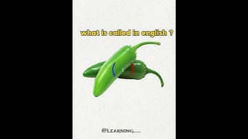 what is it called #education #learnenglish #learning #quiz