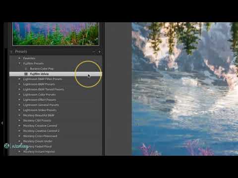 Applying develop presets on import in Lightroom Classic