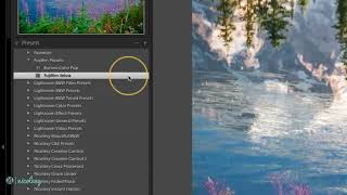 Applying develop presets on import in Lightroom Classic