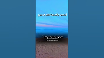 #شهر_رمضان ##بدر_التركي #استمعوا_وانصتوا_لعلكم_ترحمون #quran #القرآن_الكريم #تلاوة_خاشعة #الجزائر
