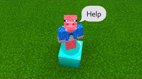 if I touch grass, the video ends (Minecraft)
