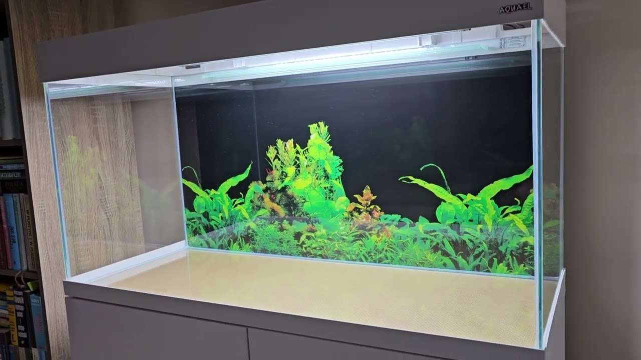 AQUAEL OPTI SET 200 🤩 Nowy start po latach.