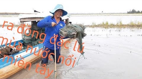 Ra đồng đặc lú -mùa nước nổi ở miền tây/tập 30