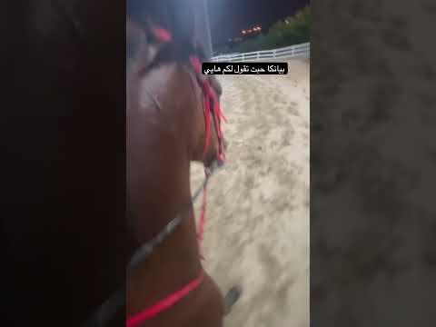 قولو لي ا ا تبغون انزل لكم عن الخيول اكسبلور خيل حصان احبكم شورتس