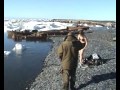 2012 Swimming in the Chukchi Sea