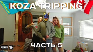 🍁 Koza Tripping | Коза Триппинг [ Часть 5 ] - Канада Закинула Нам Донат 🪙 Бесплатная Еда и Продукты