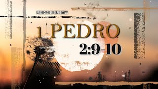 1 PEDRO 2:910