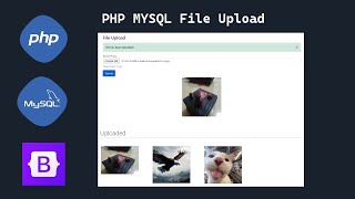 PHP and MySQL File Upload | PHP & MySQL Image Upload