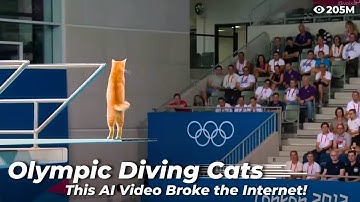 Viral AI Video: Cat Olympics Dive! | Full Tutorial with Hailuo 02!