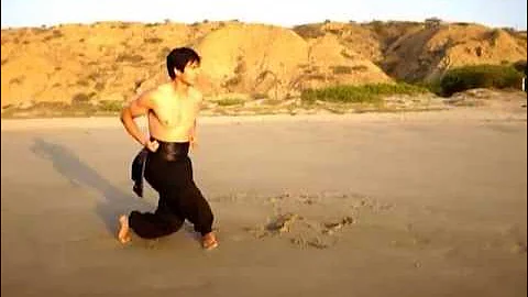 HUNG GAR: "GUNG GEE FOOK FU KUEN" / 工字伏虎拳 (Taming the Tiger) / 工字伏虎拳 Gung Ji Fuk Fu Kuen