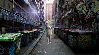 Wolf On Phone Angry City Meme