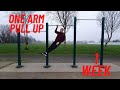 Learning The One Arm Pull Up IN 1 WEEK