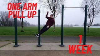 Learning The One Arm Pull Up IN 1 WEEK