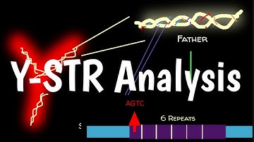 Y-STR Analysis | Y-chromosome Short Tandem Repeat Analysis | Y-STR Profiling |