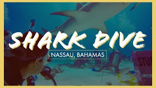 Stuart Cove's Shark Dive