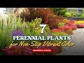 Perennial Magic: Top 7 Perennials for Non Stop Vibrant Color! 🌻☀️🌷 // Gardening Ideas