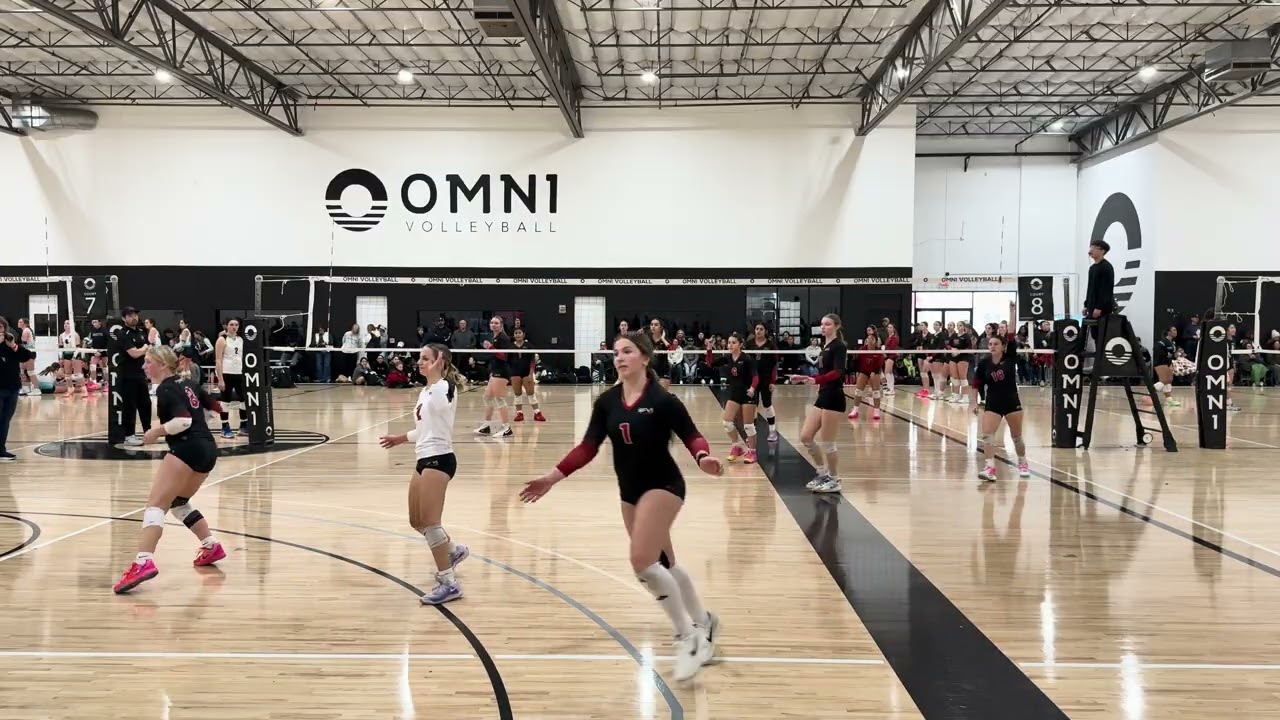 Synergy 16 v Synergy 15 (part 2) 12/13/25