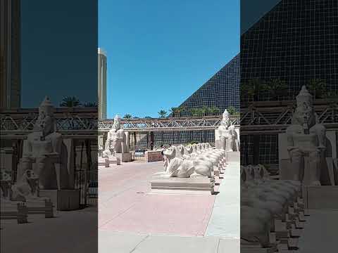 Nick gets kicked out of the Commerce Casino for being competition 🤯