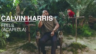 Calvin Harris - Feels (Clean Acapella) ft. Pharrell Williams, Katy Perry, Big Sean