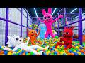 Ball Pit GONE WRONG or Best Idea Ever?! Pinki &amp; Friends