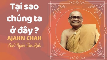 Tại sao chúng ta ở đây - Thiền Sư Ajahn Chah | Suối nguồn tâm linh - Thiền Sư Ajahn Chah