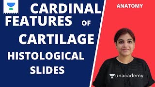 Cardinal Features Of Cartilage Histological Slides | Anatomy | Dr. Monalisa