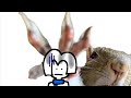 Wanna watch me talk about squirrels for 2:16?