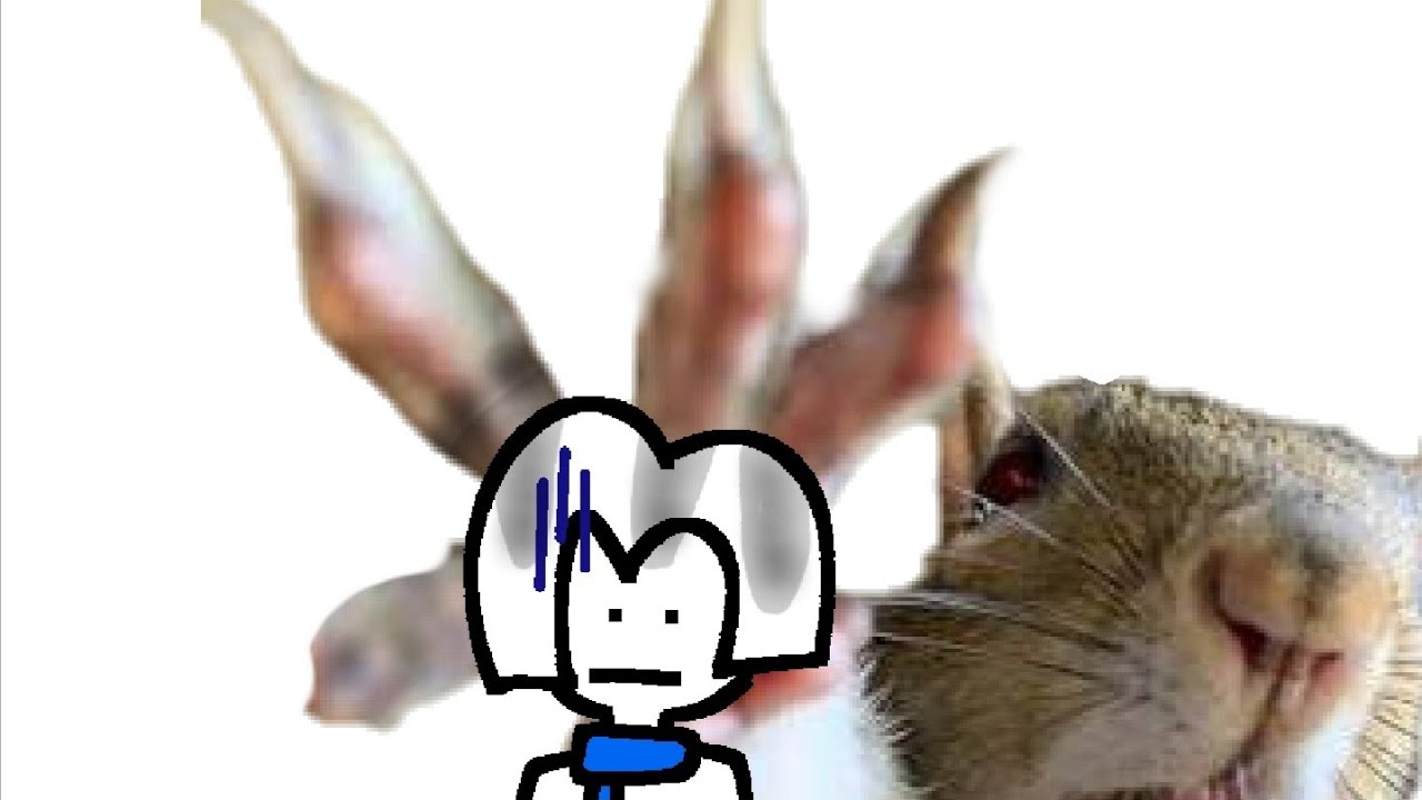 Wanna watch me talk about squirrels for 