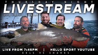 Hello Sport Live: Eels vs Sharks Rnd 13