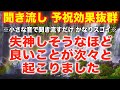 大多数の人は見れません。再生できた人が「もう他の人に譲ります」と言いたくなるほど良いことが次々と起こりました。神様本当にありがとうございました。幸せを実現させる強力なソルフェジオ周波数(@0009)