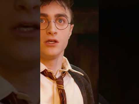 Video: ¿Dumbledore es un purasangre?