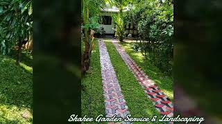 Malaysian Carpet Grass & 3D Interlock Paving