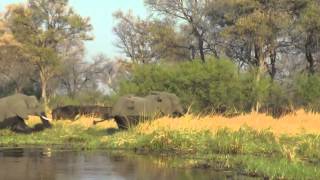 Quick, Theres A Boat Coming