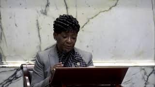 House Floor Session, 3/15/2024 #1