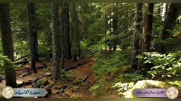 ما تيسر من سورة الأنبياء عبدالرحمن سعيد من آيه ١١ إلي آية ٢٠ #quran #قرآن #سورة #تلاوة #الانبياء