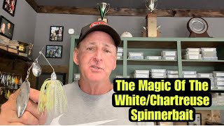 When And Where The Forgotten White/Chartreuse Spinnerbait Excells
