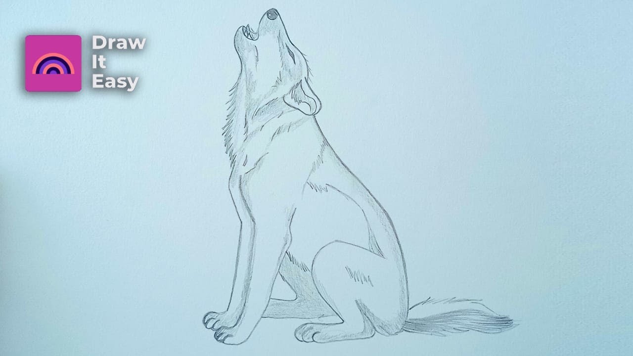 Online classes: How to Draw a Howling Wolf Step by Step - YouTube