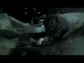Wizard Rock (The Boyz Who Lived)