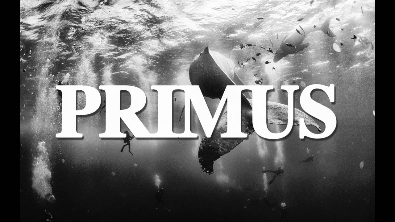 PRIMUS My name is mud YouTube
