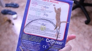 Испытываем игрушку для кошек Cat Dancer