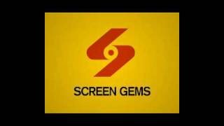 Screen Gems Project #3 (S from Hell) {homemade}