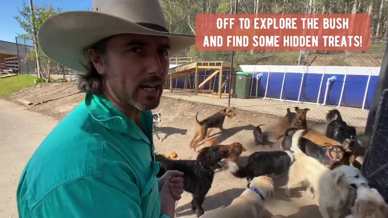 Tuesday at the farm with the NEW Doggy Bus